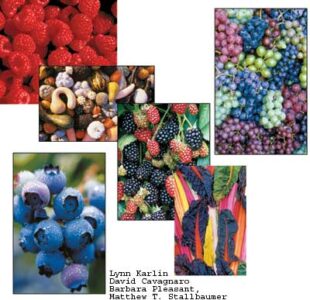 Check-out these fruits, vegetables, grains, and nuts that will have you and your family living healthy year round. Image